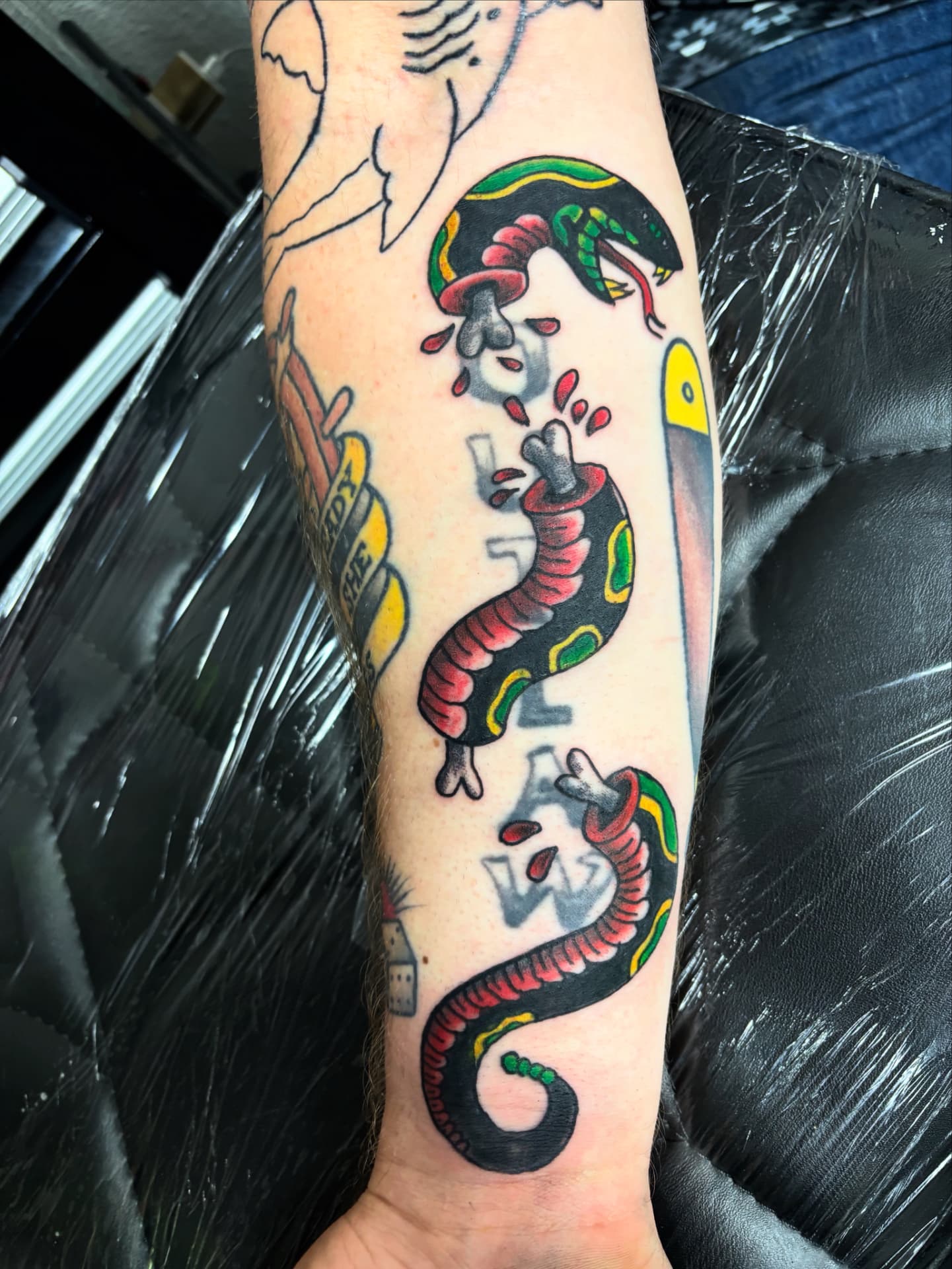 Traditional color tattoo of a rattlesnake in three severed sections with exposed bone and blood drops on an inner forearm